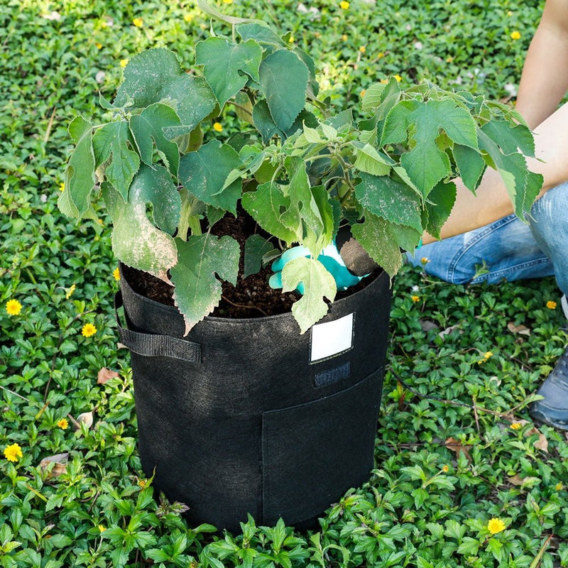 Yorbay 5 Stück Pflanzsäcke à 35 L mit 1 Paar Gartenhandschuhen - G41 - 10 - yorbiy.com